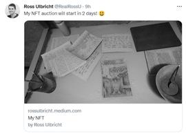 丝绸之路创始人Ross Ulbricht将拍卖NFT收藏品，拍卖所得将捐赠给慈善基金_CHT:BRI