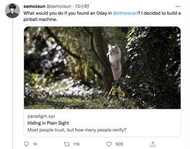 隐藏在众目睽睽之下：复盘etherscan的零日漏洞_ETHE:RSC