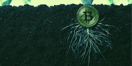 比特币Taproot升级终于要来了！一文了解它的过去、现在与未来_OOT:ROO
