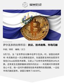 萨尔瓦多的比特币日：抗议、技术故障、市场闪崩_DAO:VAIVOX