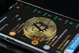 库里为何花116万买一个NFT头像？回顾NFT头像的“发迹史”或许能找到答案_PUNKS:USD
