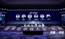 新政策，新机遇，产业区块链风往哪儿吹？ | 2021世界区块链大会_区块链:区块链怎么入手
