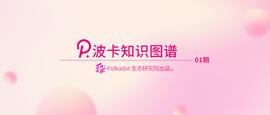 Gavin Wood与波卡的故事_AVI:Polkadot