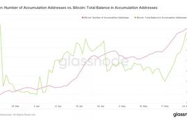 数据:囤积比特币的地址数增至历史新高_BTC:GLASS