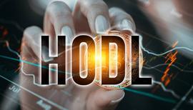 HODL这个meme，是如何揭示比特币真相的_NFT:coinone官网