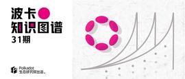 Westend：波卡的永久测试网-ODAILY_END:TEN
