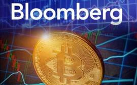 彭博社：预测比特币今年将上涨至40万美元_USD:SDT