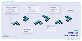 Umbrella Network更新2022年1-6月路线图-ODAILY_UMB:UMBR币