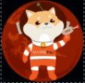 知道创宇区块链安全实验室｜MARSINU 项目考察-ODAILY_DEFI:StarterCoin