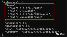 技术 | IPFS网络是如何组建的？_NODE:区块链