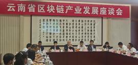 火链科技出席云南区块链座谈会，与中国电子、华为等企业一同建言献策-ODAILY_区块链:PSYCHODOGE币