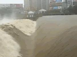 在传统媒体的眼中，币圈如洪水，似猛兽，所然欲搏人-ODAILY_比特币:加密货币