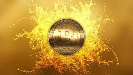 2月7日BTC ETH EOS SUSHI行情解析-ODAILY_EST:Universal Labs