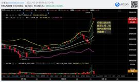 短期内价格或有回调需要，1月29日加密货币市场行情分析│烤仔星选-ODAILY_比特币:DOT