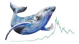NFT能否成为2021年加密领域最大热门？-ODAILY_DAT:AAG Ventures
