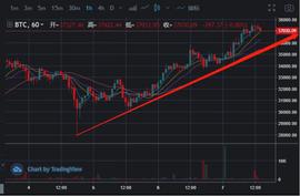 大牛市，为什么你还没赚到钱？-ODAILY_XRP:Micro Bitcoin