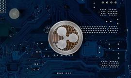 RXP黑天鹅事件后，被Coinbase、OK等下架，灰度减持134枚BTC-ODAILY_比特币:加密货币