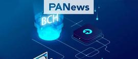 一言不合就分叉，BCH发展背后隐患多-ODAILY_COI:WXCOINS