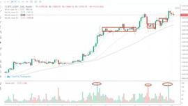 行情分析：比特币触碰14000美元，后续还能继续走高吗？-ODAILY_BTC:dot币为什么涨不起来