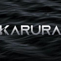 Acala先行网Karura计划参与Kusama网络第一批平行链租赁（PLO）-ODAILY_KAR:KUSA币