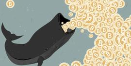 比特币鲸鱼发出牛市周期即将来临的信号-ODAILY_okex:NAN