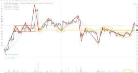行情分析：还未到一根大阳线改变信仰的时候-ODAILY_BTC:EOS LYNX