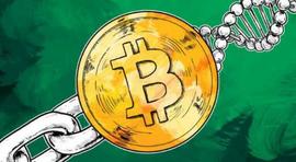 AAX & Odaily 有奖征文 | 一文读懂比特币减半和未来趋势-ODAILY_比特币:yibitcoin