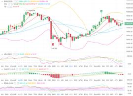 BTC多头蓄力，数次回踩只为冲击更高点-ODAILY_BTC:ETH