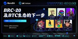 Twitter Sapce实录：BRC-20集体遇冷，市场迎来拐点？_BRC:INT