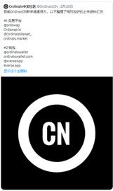 长推：关于Ordinals 主题的 Twitter Space 笔记_BTC:Ordinal Chain
