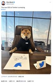 盘点Elon Musk历次喊单狗狗，涨势能持续多久？_EOS:EDOGE价格