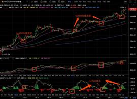 2.14比特币行情分析：为啥在币圈的你总是亏损？-ODAILY_AIN:QuarkChain