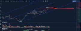 2.10比特币行情分析:再币圈的你是盈利还是亏损？-ODAILY