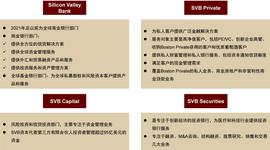 中金：硅谷银行事件与潜在的流动性风险敞口_BRC:TOK