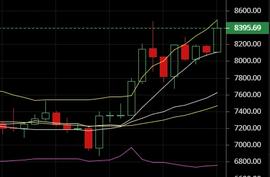 1.14比特币午间行情分析：爆涨行情你该如何应对-ODAILY_STO:TOC