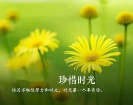 1.3下跌走一天，涨回五分钟，涨涨跌跌中远离套单之路-ODAILY_300:dapp币价