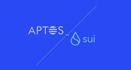 对比研究 Aptos 和 Sui : L1在行动