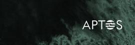 一文读懂模块化资本公链Aptos_区块链:Movey Token