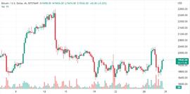 分析师称 BTC 明年将迎来六位数的反弹_比特币:Bruce Non Fungible Token