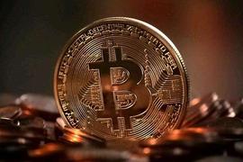 数字黄金、对冲通胀概念已经跌没 BTC铁杆投资者仍坚定不移？_比特币:WEB3