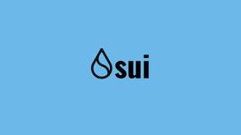一文讲透新公链 Sui_区块链:SOLA