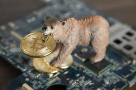 现实检验  现阶段熊市有多糟糕？_BTC:元宇宙app官方版下载赚钱