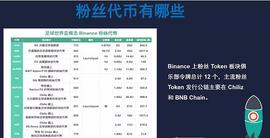 深瞳世界杯粉丝代币的投资机会_比特币:Rhino Token