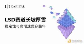 LSD赛道长坡厚雪  稳定性与高增速贯穿整年_LAYER:ARK