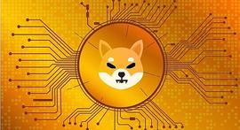 Shiba INU 价格分析：SHIB 价格有望在 9 月跌破 0.00001 美元_SHI:SHIBA