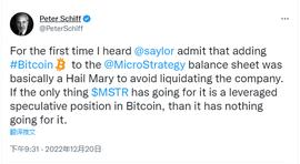 MicroStrategy增持比特币因逃避清算？首次抛售又为哪般？_OPT:比特币市值变化