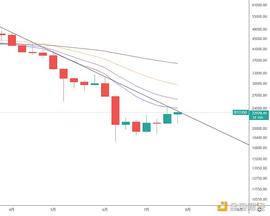 金色趋势丨加息落地 反弹能否持续？_BTC:POLO价格