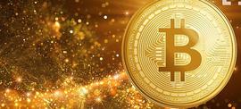 比特币：近 14 年后,BTC 达到预期了吗？_比特币:加密货币指数