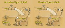 Tiger VC DAO：心有猛虎 人人皆可是VC_DAO:MINIBNBTIGER