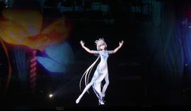 虚拟偶像：“事先张扬的虚假”与去中心化的粉丝群体_GARD:WEB3